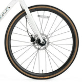 ROCKBROS RIDA P2E Series Road Bike