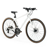 ROCKBROS RIDA P2E Series Road Bike