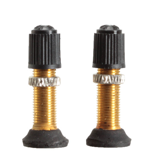 Schrader Valve Stem, 32mm Universal, Pair
