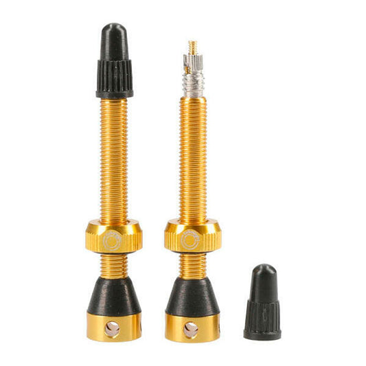 Tubolight Air Valve 50mm Gold Pair