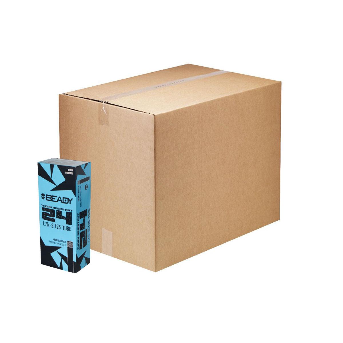 Thorn Resistant Tube, 24x1.75-2.125" SV 48mm 20/count