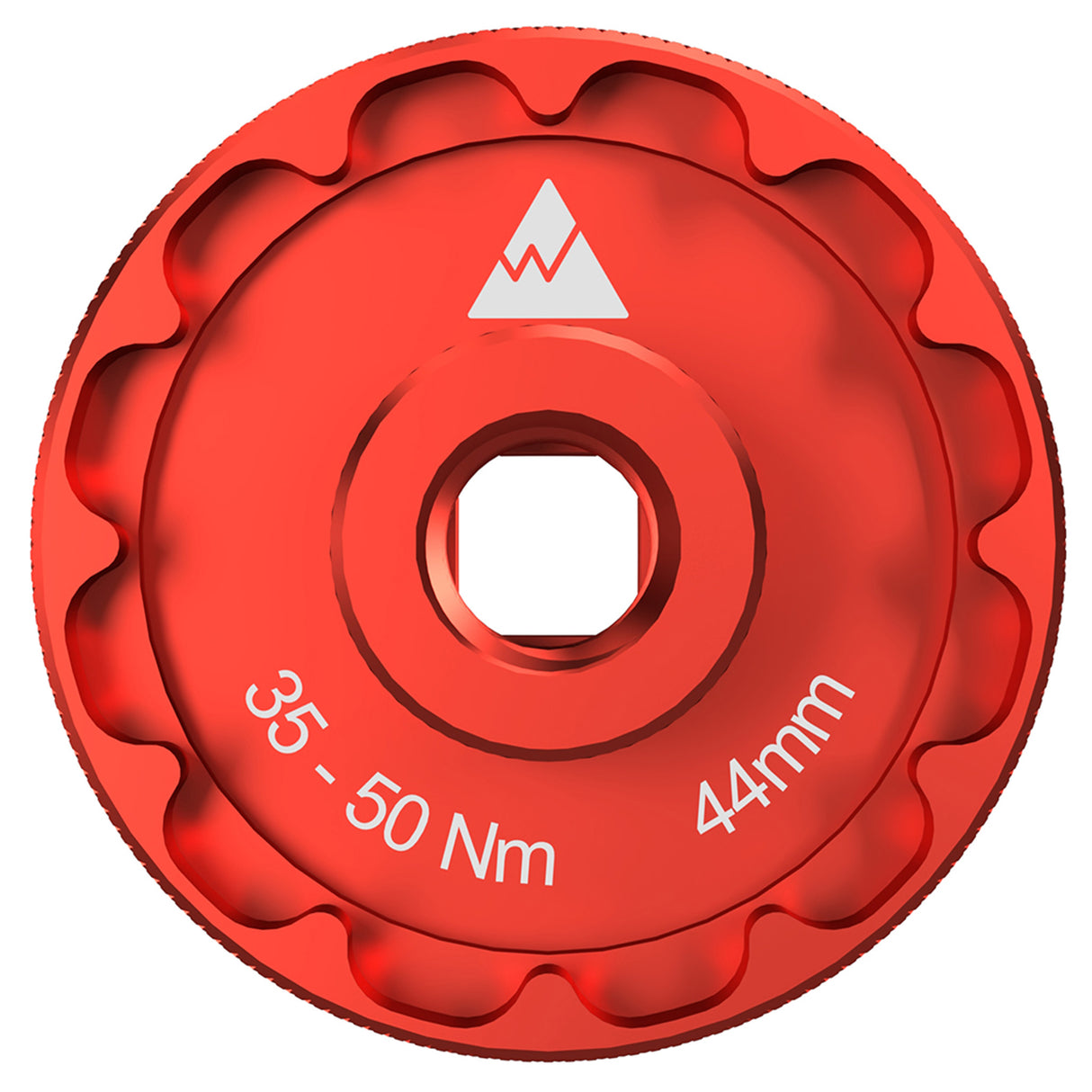 Thin Flange Socket, 44mm 12/24-Notch