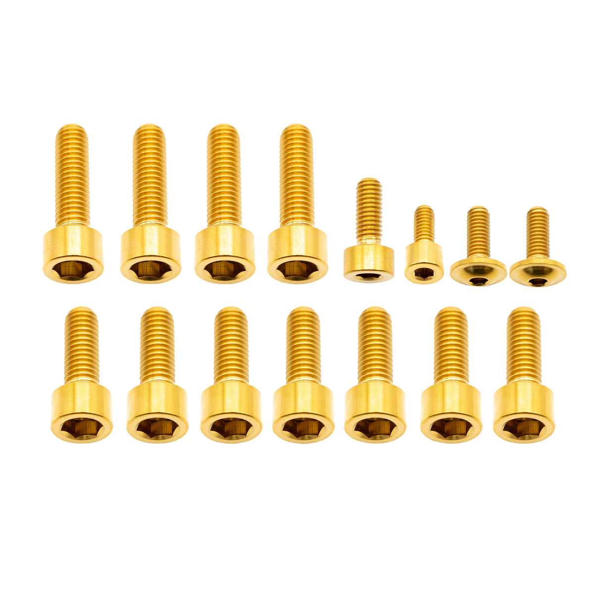 Fox 40 Fork Titanium Bolt Kit, Grip, Gold, 15/Count