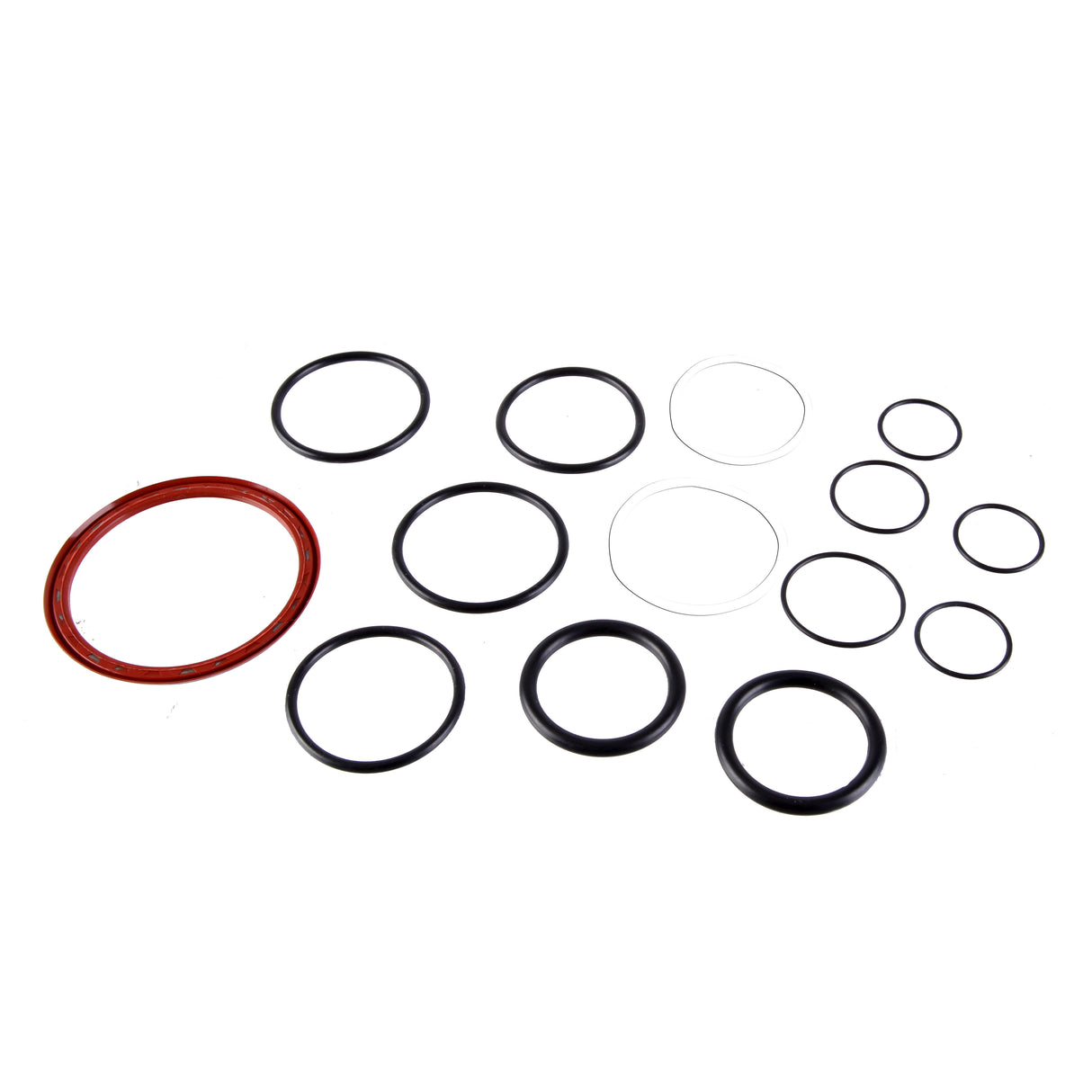 Rear Hub Seal and O-Ring Kit, Torch