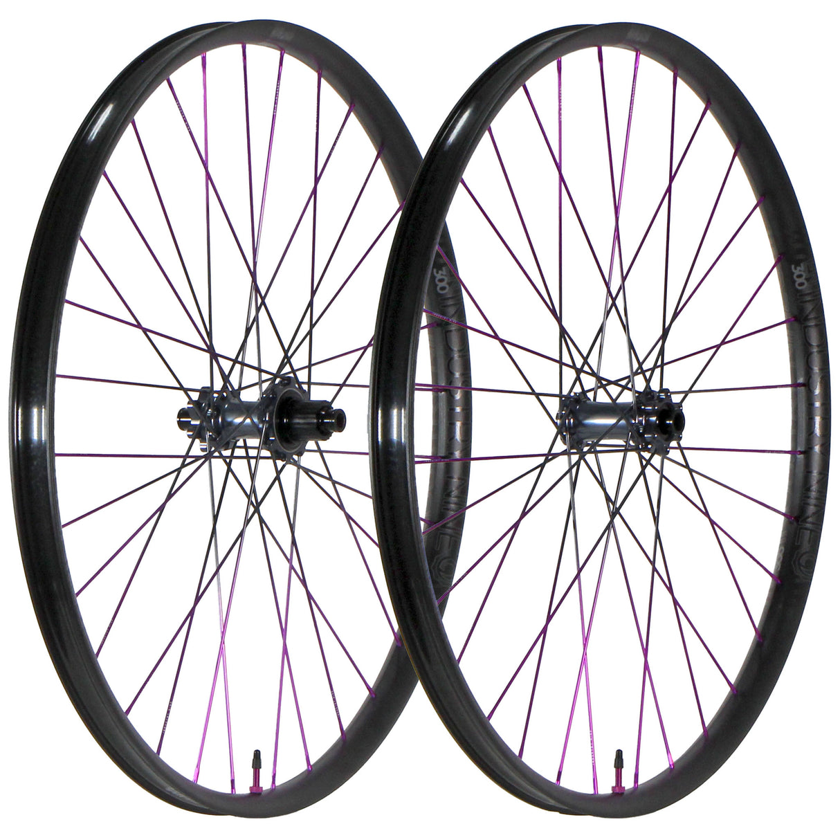 Enduro 29", 15x110/12x148, MS, 20th Anniv